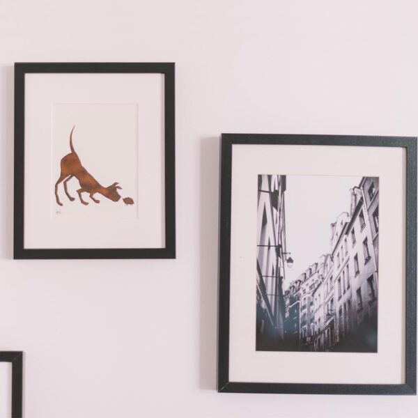 Fotografia 10x15 Online tlač fotografii